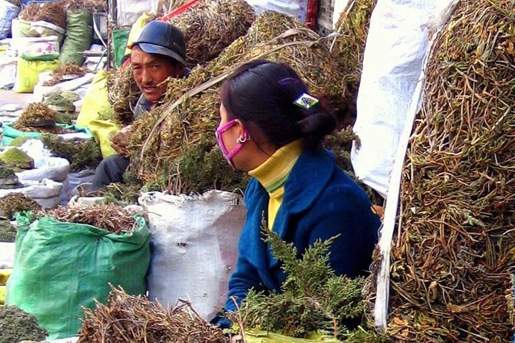 Bố Đạt La cung